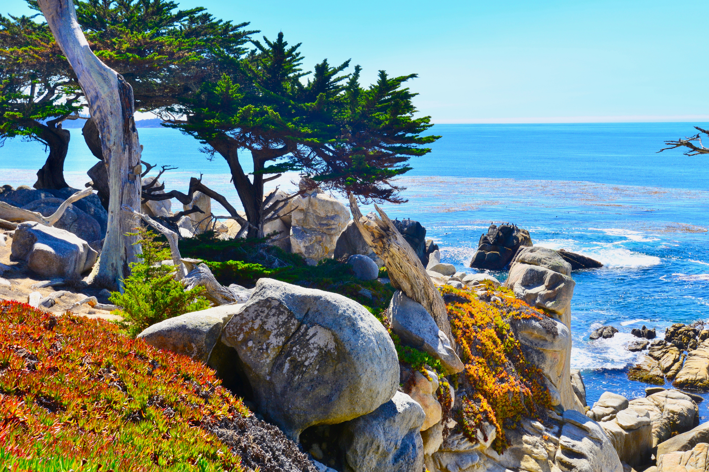 carmel, california (3).webp